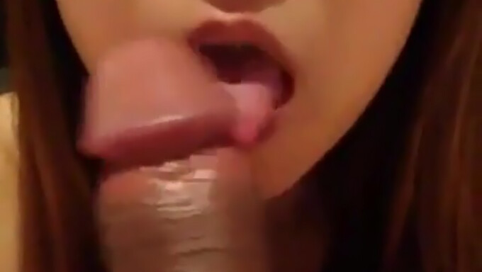 Vista POV de una sesión de placer oral asiático habilidoso